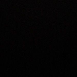 Meet your Posher, Summer